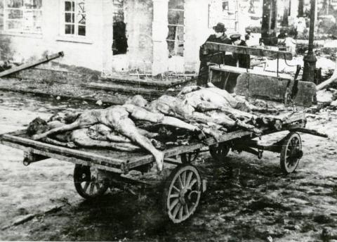 Zsidó holttestek Budapesten, a Maros utcai exhumáláskor 1945-ben