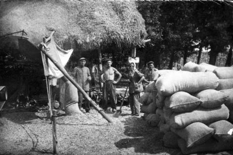 Az aratás után Bedőszegen, Gyulavári határában, id. Molnár Mihály vitézi birtokán 1942-ben