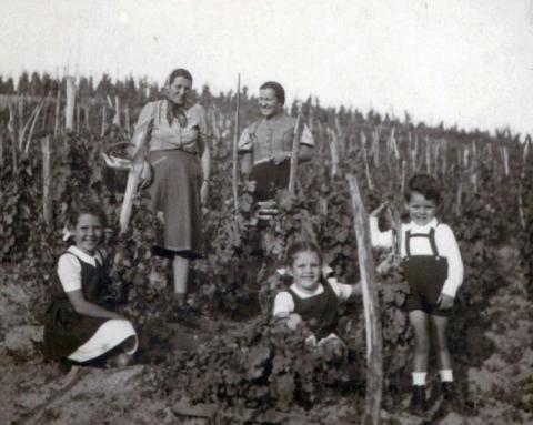 Nádasdy Katalin, Júlia és Ferenc az uradalmi szőlőben