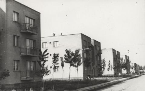 Lakóházak a Tiszamenti Vegyiművek mellett